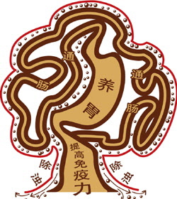 胃溃疡出血严重吗