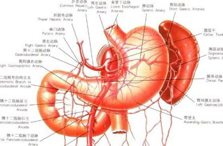 胃溃疡更佳治疗方法